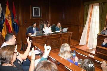 Pleno ordinario de febrero del Ayuntammiento de Telde/FJS Fotografía.